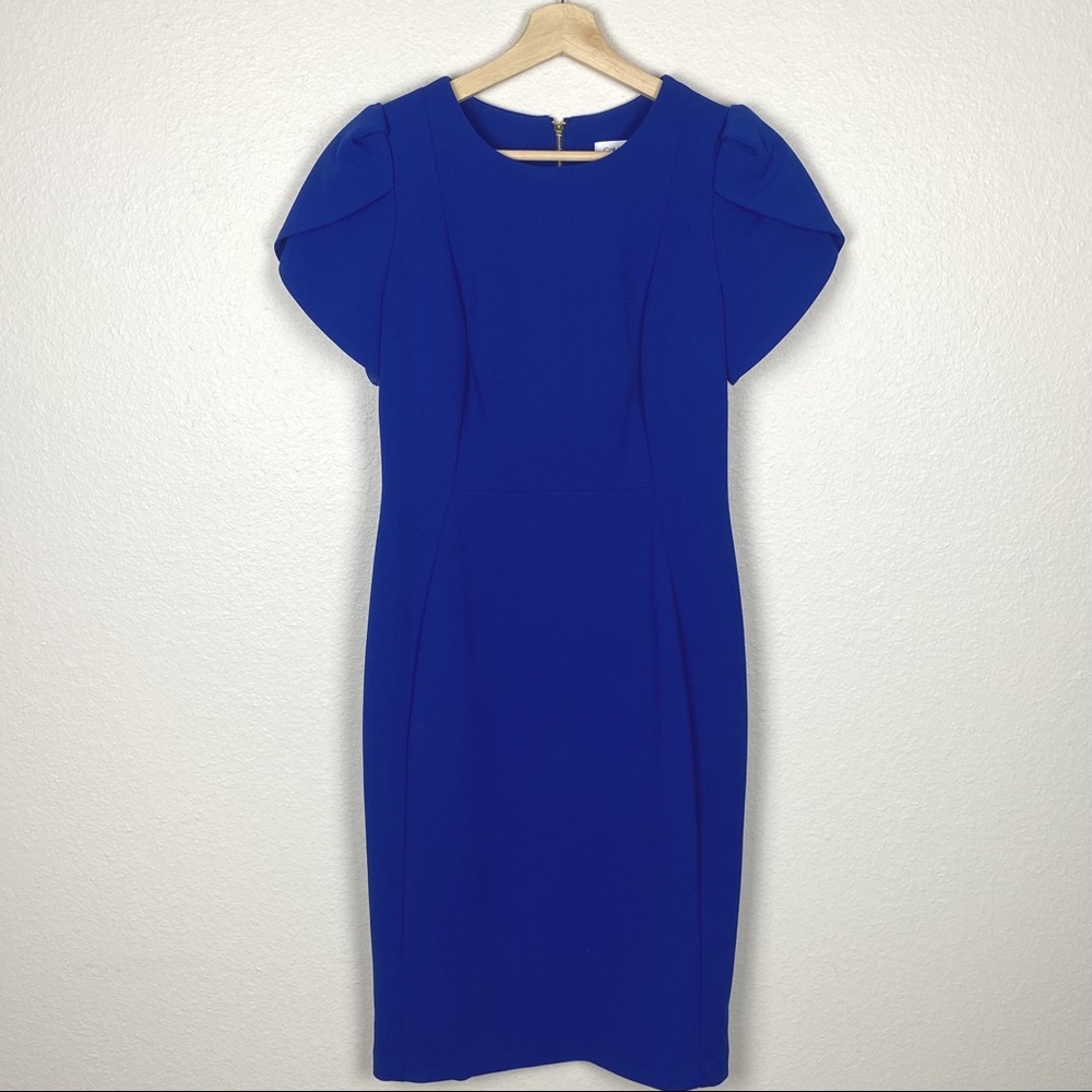 Calvin Klein Tulip Sleeve Blue Dress Size 6
